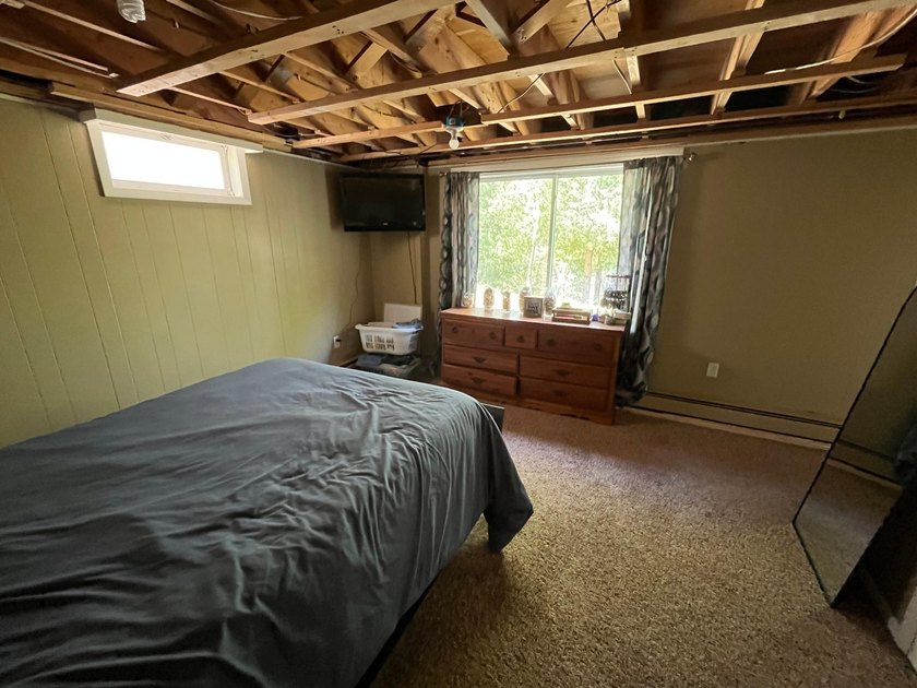 This spacious 5-bed, 3-bath walk-out home on Rainy River offers - photo 37