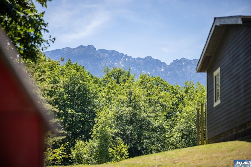 Looking for a gorgeous mountain backdrop on a private 1.1+ acre - photo 3