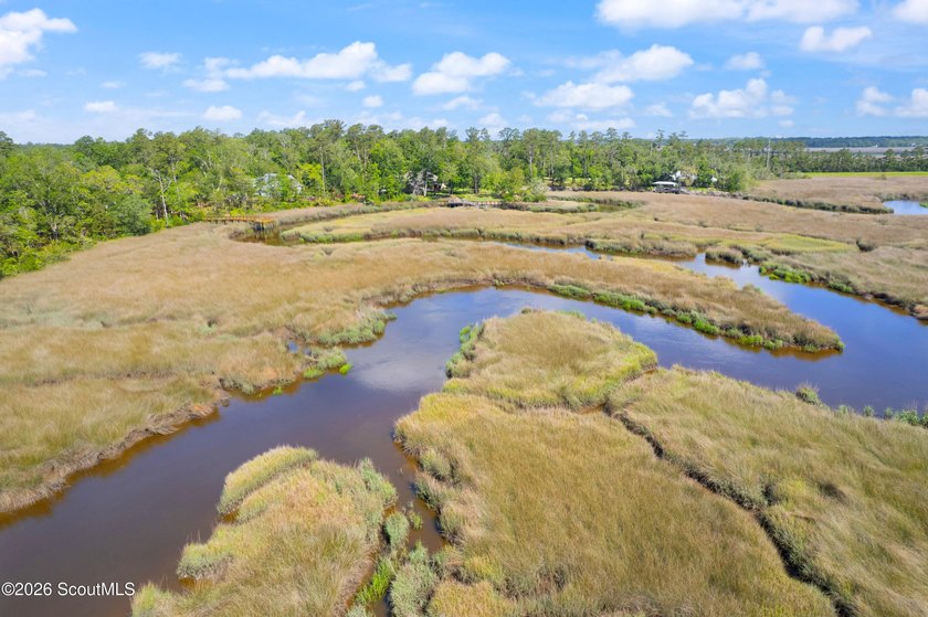 Rare opportunity to own a premium homesite in one of Camden - photo 10