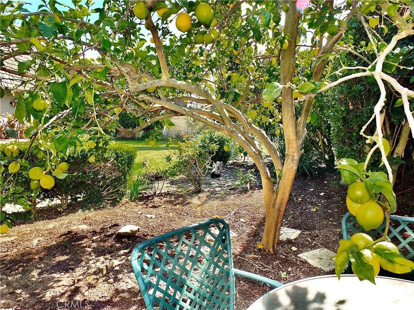 One of only 33 custom built homes behind the exclusive gates of - photo 46