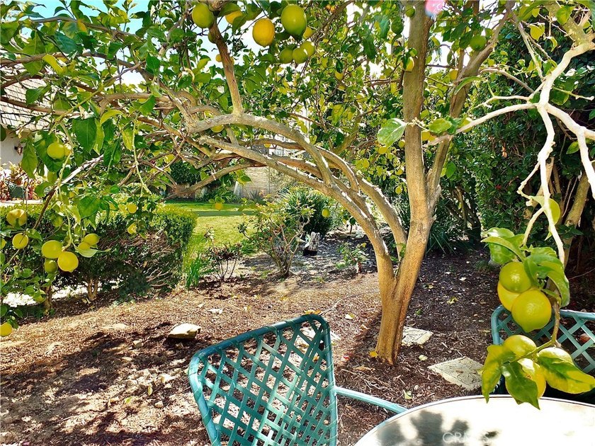 One of only 33 custom built homes behind the exclusive gates of - photo 50