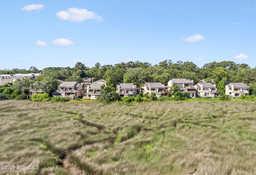 Wake up to breathtaking marsh views at 316 Brockinton Marsh! - photo 4