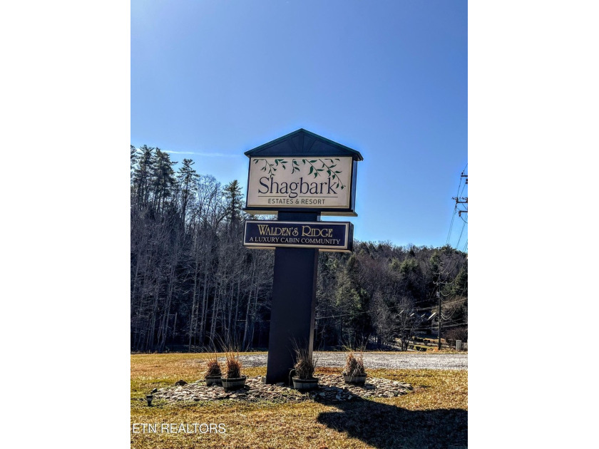 Private mountain cabin situated on approximately 0.88 acres in - photo 50