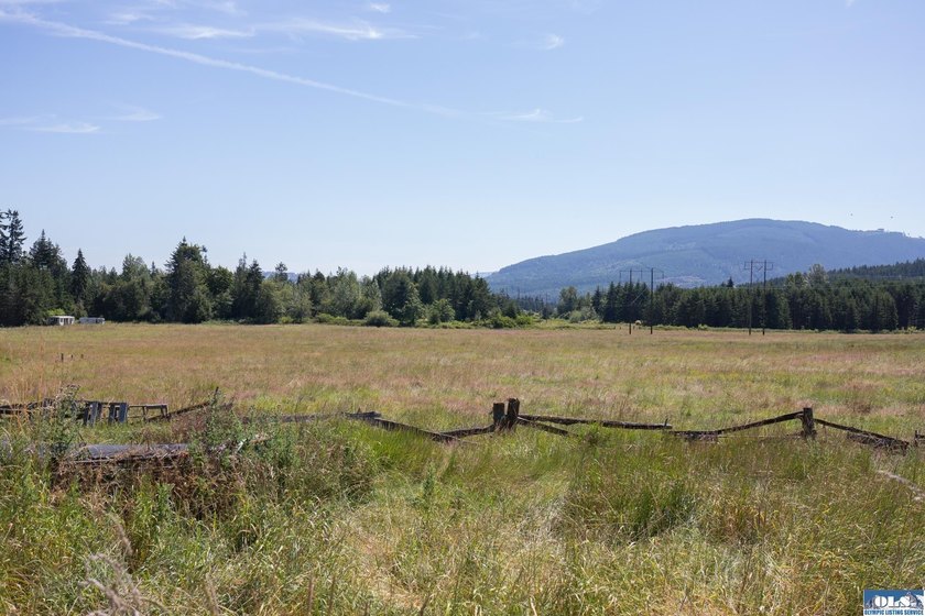 Lovely setting in desirable area of Sequim to set down your - photo 7