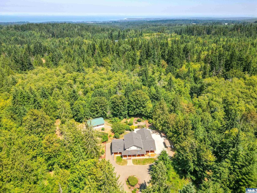 Escape to nearly ten private, wooded acres in Port Angeles - photo 2