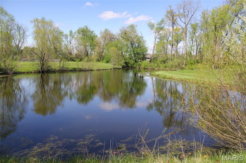 Bring your horses or build your dream home overlooking the lake - photo 7