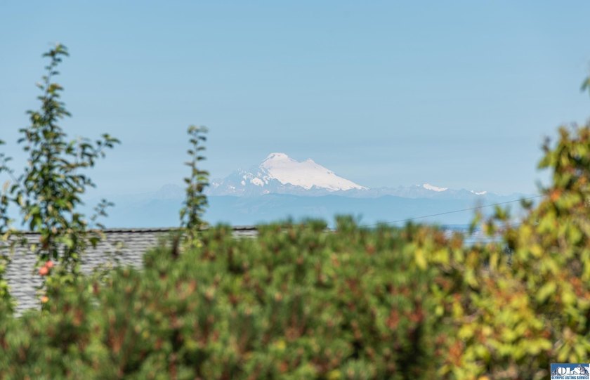 Perched above Sequim, this beautifully updated 3-bedroom, 2-bath - photo 3
