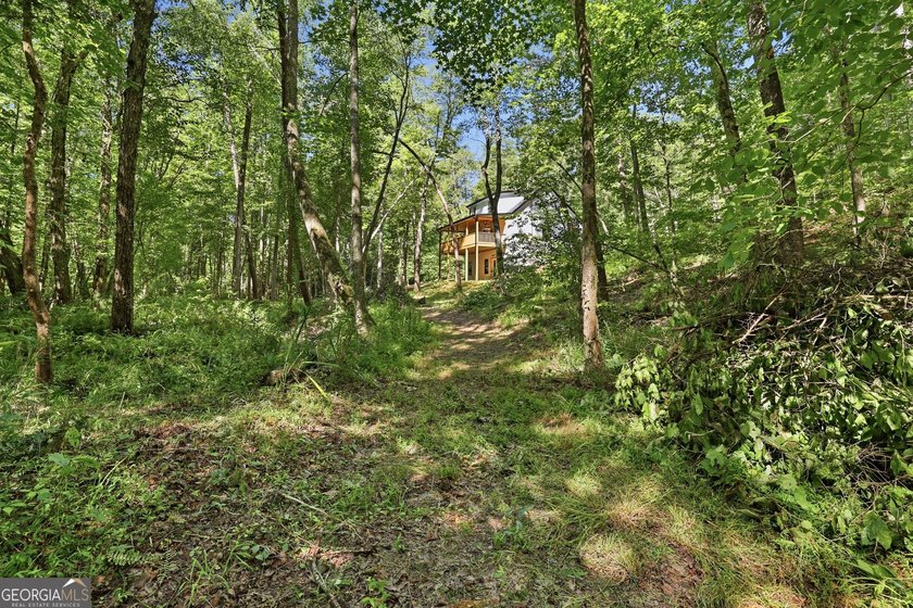 PICTURESQUE NORTHEAST GEORGIA SETTING OF 3 PRIVATE, WOODED ACRES - photo 30