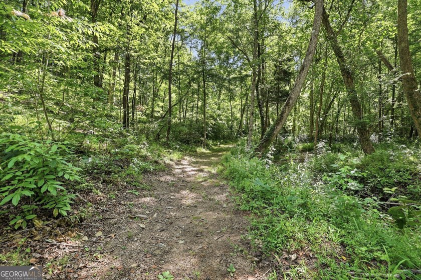 PICTURESQUE NORTHEAST GEORGIA SETTING OF 3 PRIVATE, WOODED ACRES - photo 33
