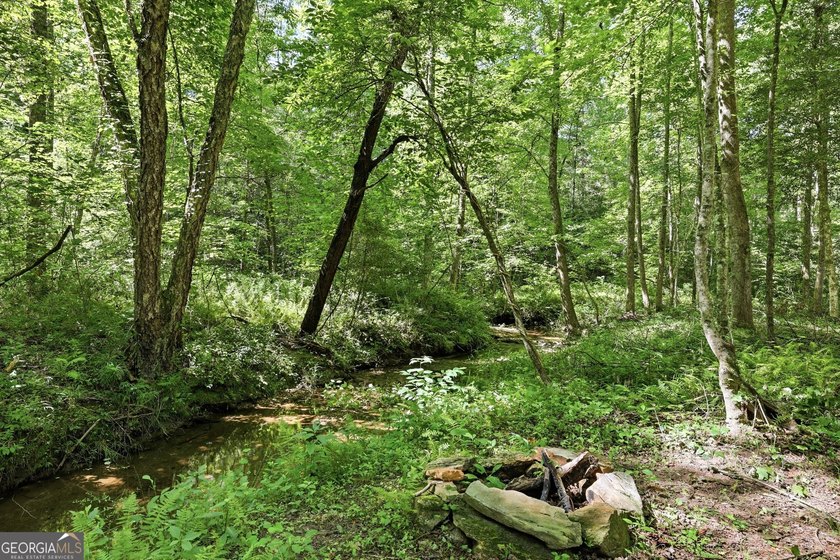 PICTURESQUE NORTHEAST GEORGIA SETTING OF 3 PRIVATE, WOODED ACRES - photo 34