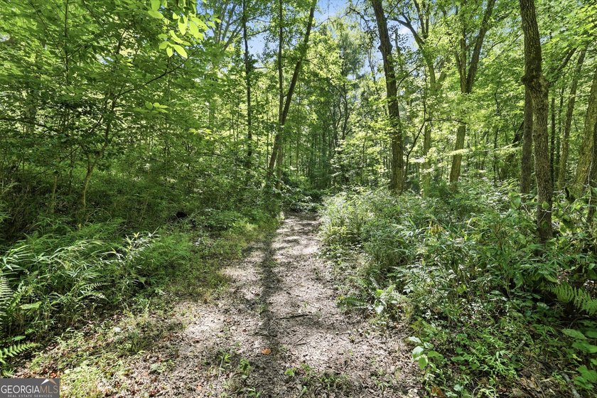 PICTURESQUE NORTHEAST GEORGIA SETTING OF 3 PRIVATE, WOODED ACRES - photo 38