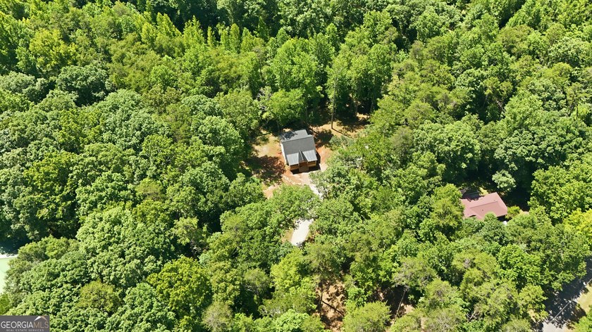 PICTURESQUE NORTHEAST GEORGIA SETTING OF 3 PRIVATE, WOODED ACRES - photo 39