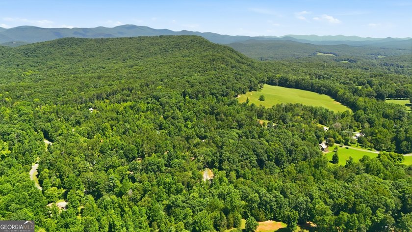 PICTURESQUE NORTHEAST GEORGIA SETTING OF 3 PRIVATE, WOODED ACRES - photo 43
