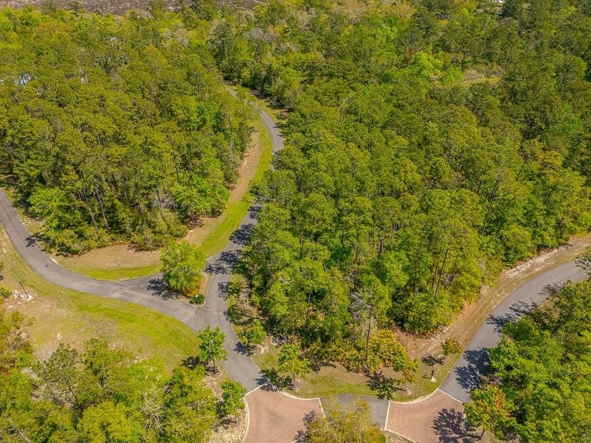 Exclusive Opportunity to own a great lot, just shy of an acre in - photo 2