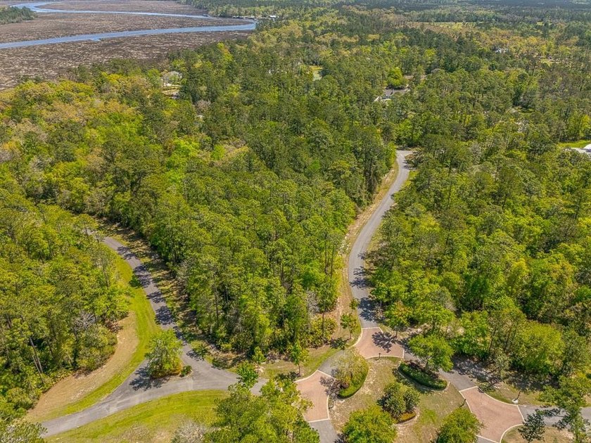 Exclusive Opportunity to own a great lot, just shy of an acre in - photo 5