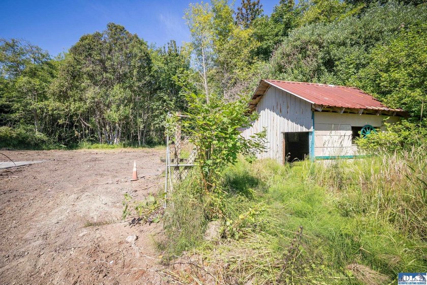 Nearly 5 flat acres just ~500 feet from the Olympic Discovery - photo 10