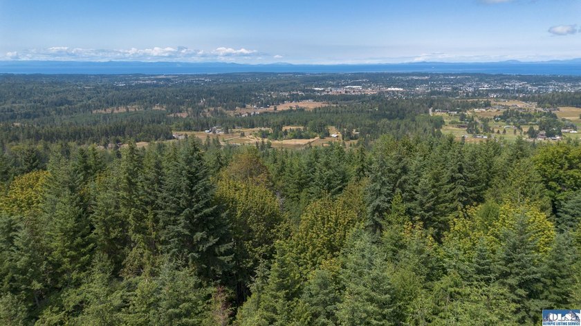 Are you looking for a secluded home on your own 19.98 acres - photo 6