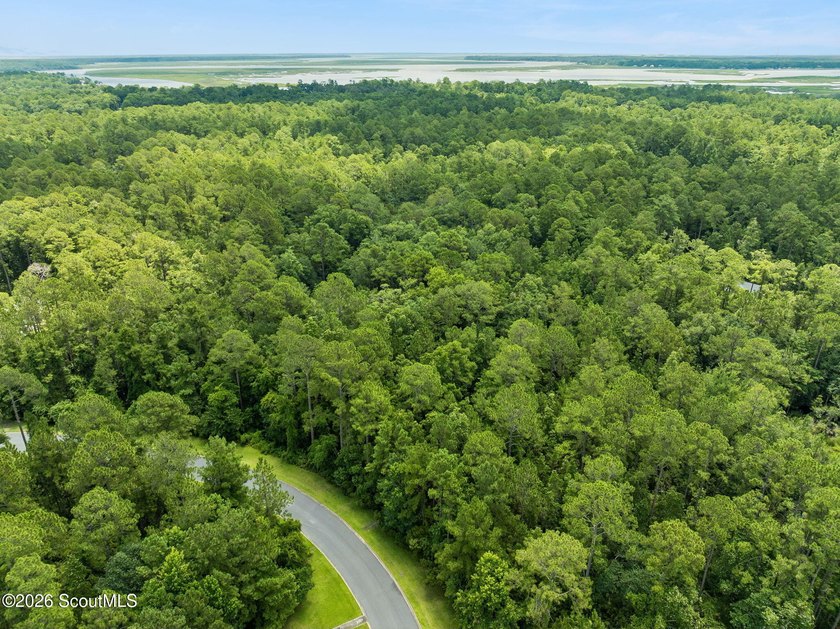 Build your dream home on this 1.33 acre residential lot located - photo 5