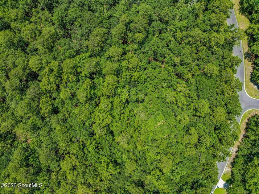 Build your dream home on this 0.68 acre residential lot located - photo 3