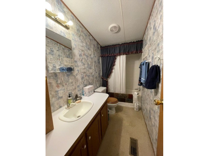 Quaint 3 bedroom/2 bath singlewide mobile home that sits on a 1 - photo 15