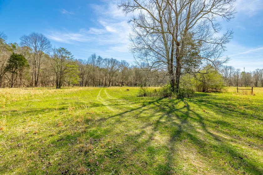 ** New Well on Property** Discover your own 42.4-acre haven! - photo 14