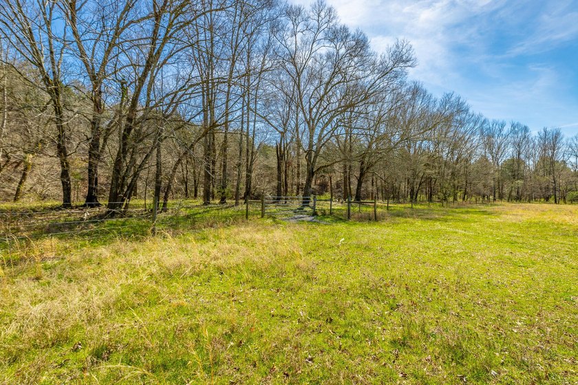 ** New Well on Property** Discover your own 42.4-acre haven! - photo 15