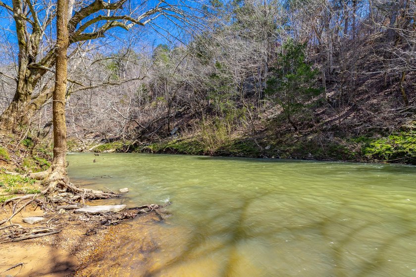 ** New Well on Property** Discover your own 42.4-acre haven! - photo 19