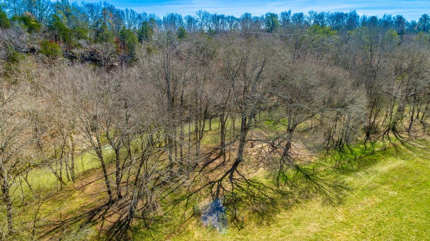 ** New Well on Property** Discover your own 42.4-acre haven! - photo 20