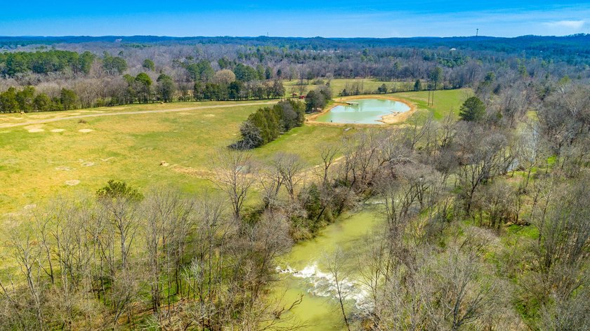 ** New Well on Property** Discover your own 42.4-acre haven! - photo 22