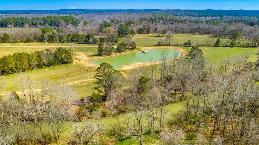 ** New Well on Property** Discover your own 42.4-acre haven! - photo 23