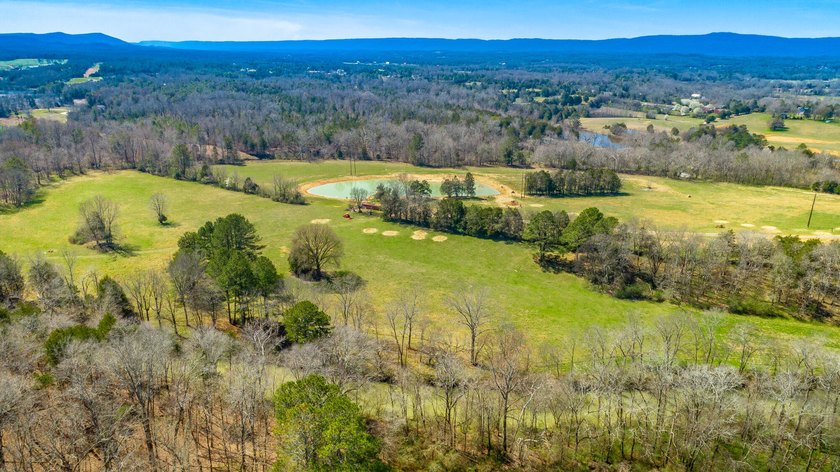 ** New Well on Property** Discover your own 42.4-acre haven! - photo 24