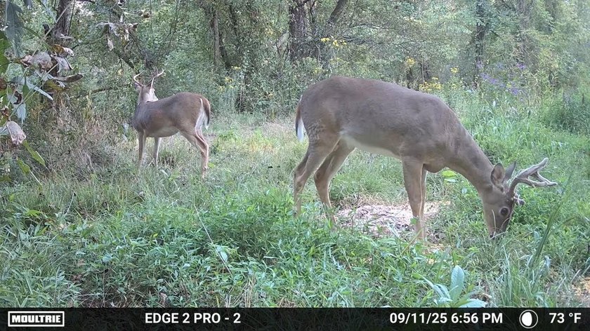 ** New Well on Property** Discover your own 42.4-acre haven! - photo 35