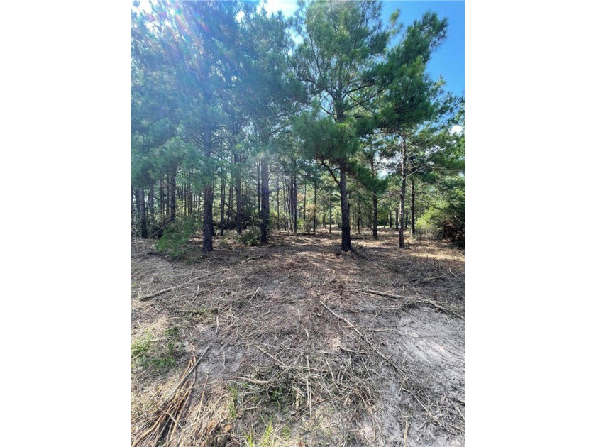 BUILDABLE lot just over half an acre in Hilltop Lakes. The - photo 4