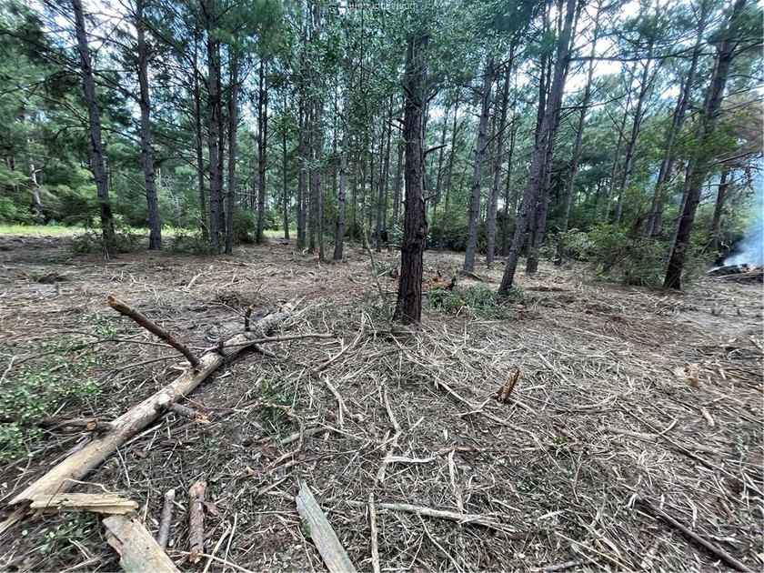 BUILDABLE lot just over half an acre in Hilltop Lakes. The - photo 5