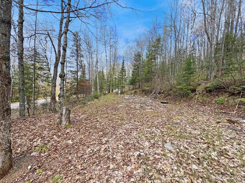 Bring your vision to life with this 1.05 acre parcel located - photo 2