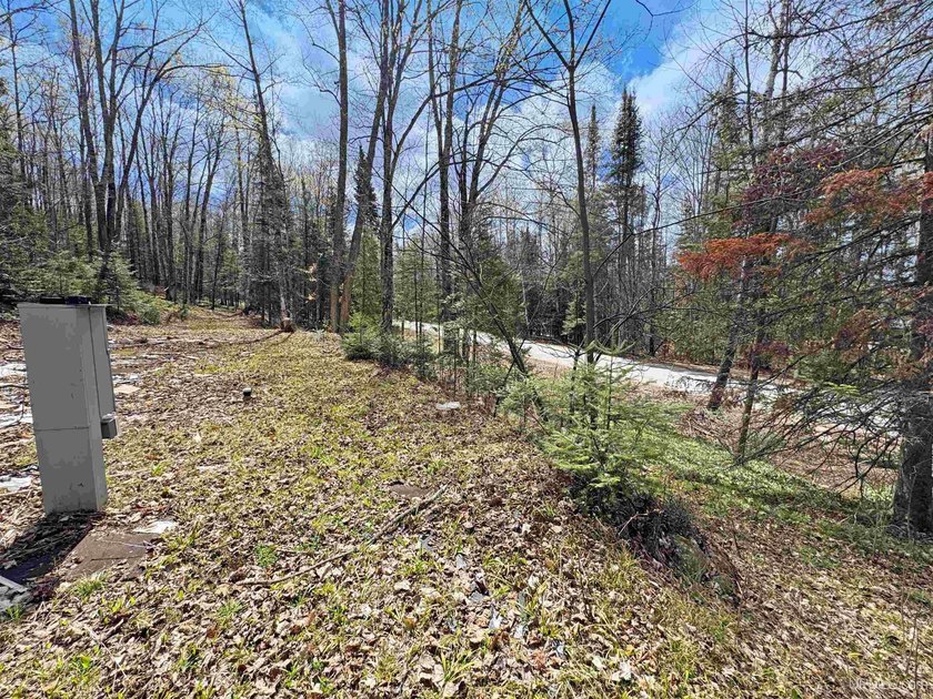 Bring your vision to life with this 1.05 acre parcel located - photo 3