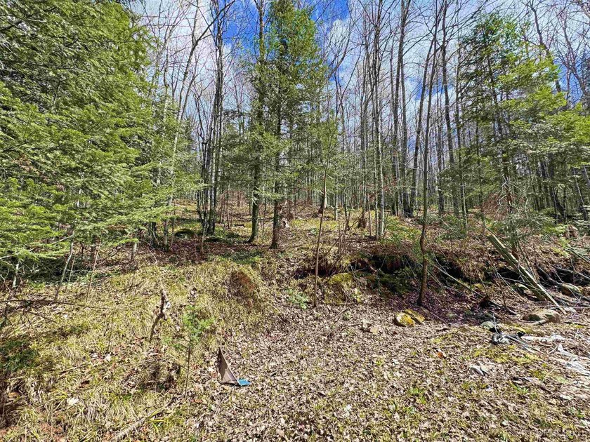 Bring your vision to life with this 1.05 acre parcel located - photo 4