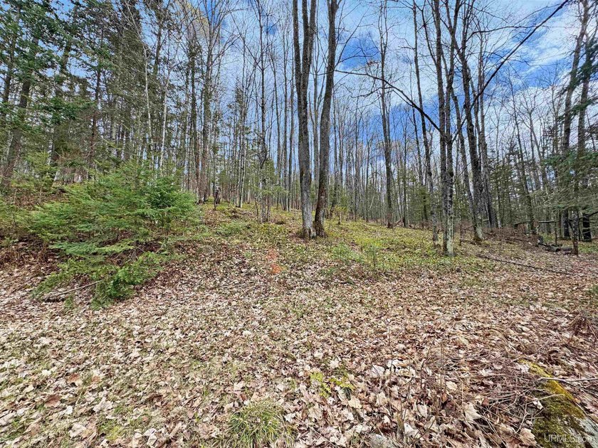 Bring your vision to life with this 1.05 acre parcel located - photo 6