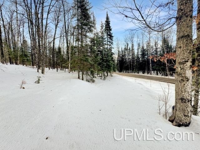 Bring your vision to life with this 1.05 acre parcel located - photo 10