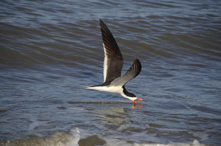 Don't miss this rare opportunity to own one of Seabrook Island's - photo 14
