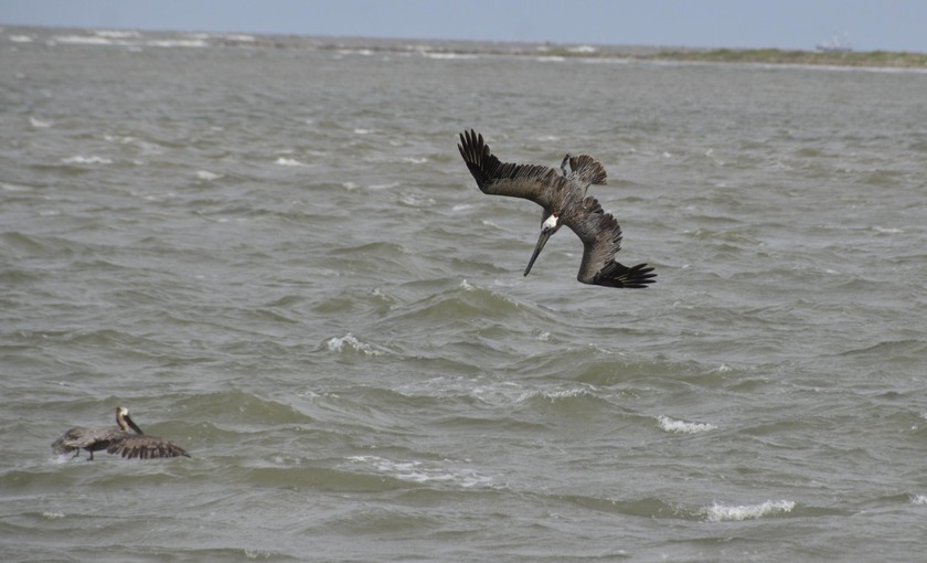 Don't miss this rare opportunity to own one of Seabrook Island's - photo 15