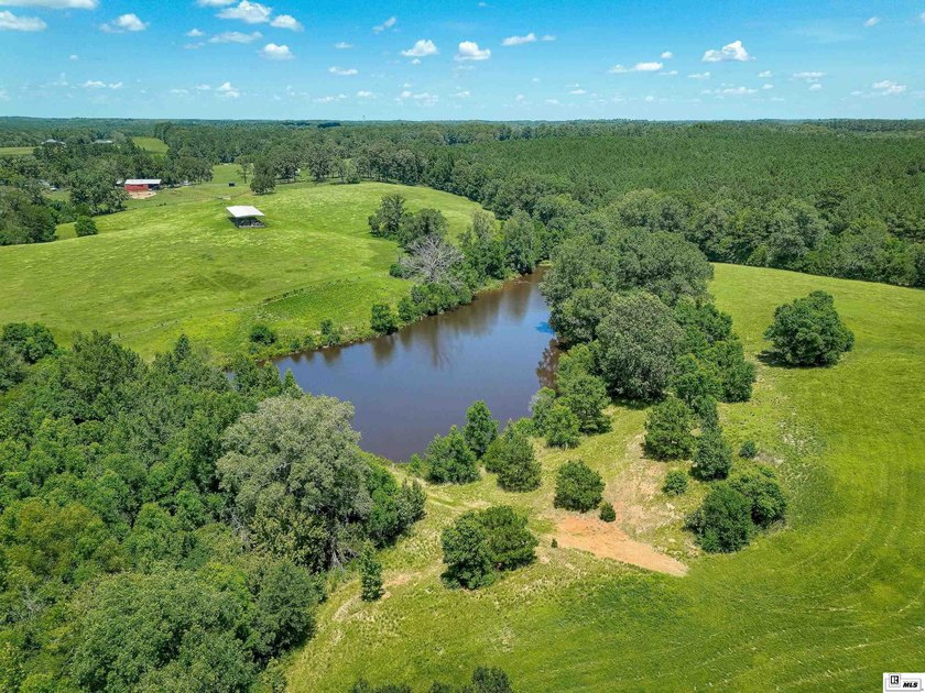Welcome to your own private retreat! This stunning 4 bedroom, 4 - photo 34