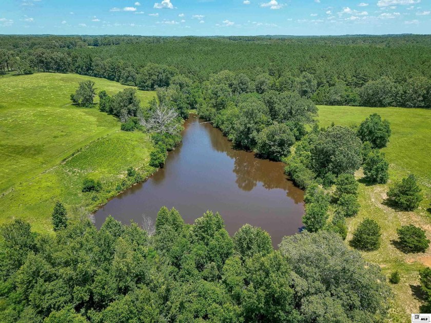 Welcome to your own private retreat! This stunning 4 bedroom, 4 - photo 35