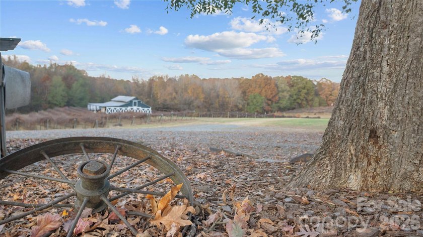 Offered for sale is a rare opportunity to acquire a 44.4+/- acre - photo 3