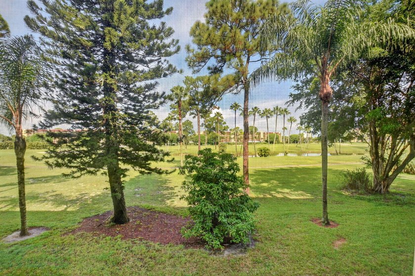 This seller is packed and ready to head up North. Step into this - photo 2