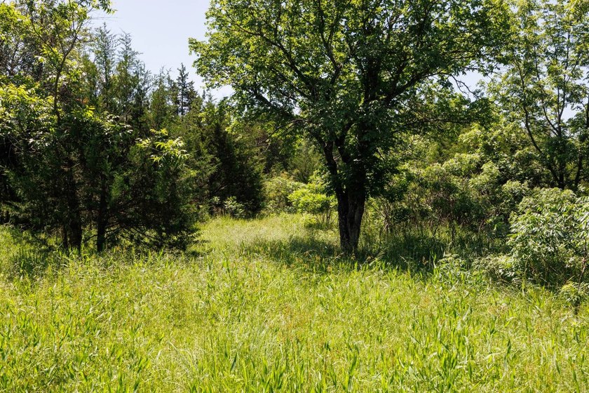 Escape to your own private piece of Kansas wilderness with this - photo 8