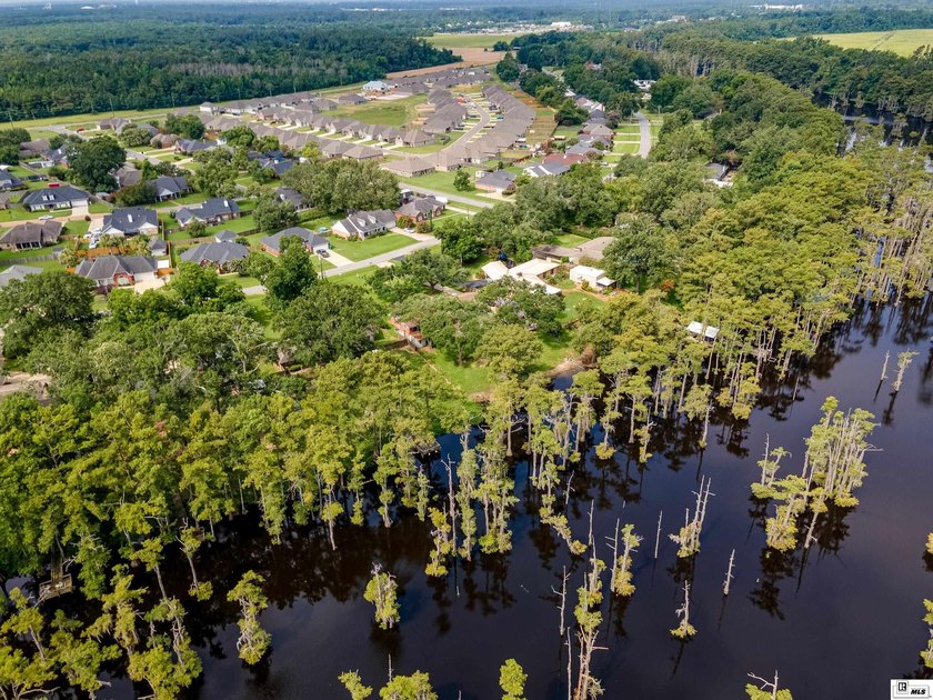 Experience peaceful bayou front living in this beautiful - photo 43