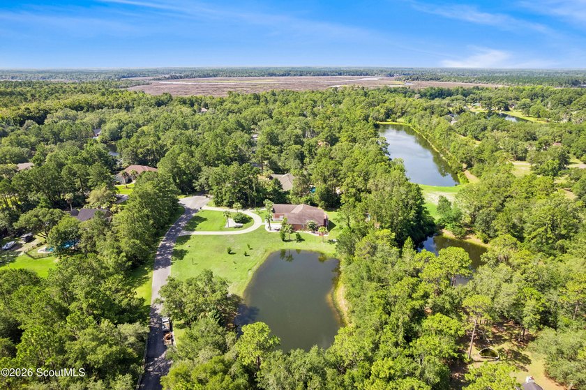 Welcome to Serenoa Cove! This beautiful four-bedroom - photo 6