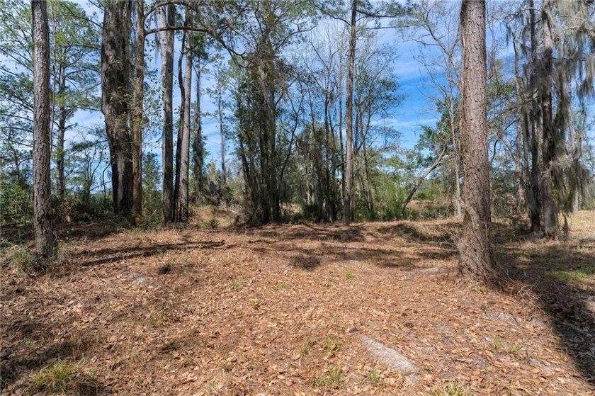 PRIVATE DEEP WATER PROPERTY, SOUTH NEWPORT RIVER, PRE-APPROVED - photo 25