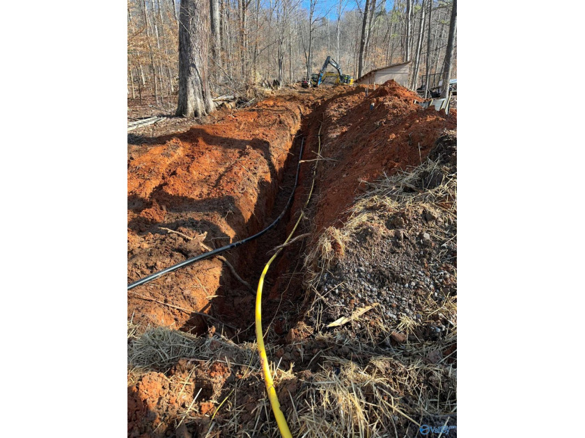 WATERFRONT AND 6.48+/- ACRES!! Dirt work completed including - photo 7